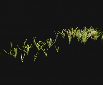 Modern The Grass-ID:516179087