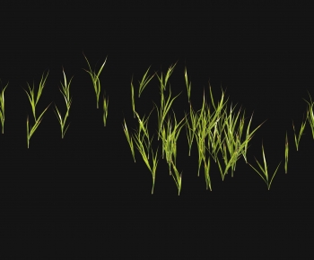 Modern The Grass-ID:219867942