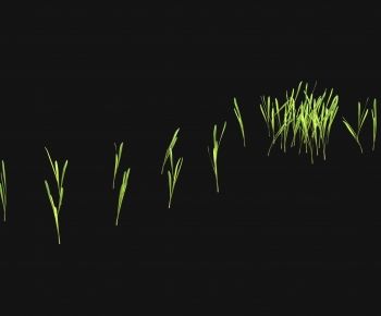 Modern The Grass-ID:161104927