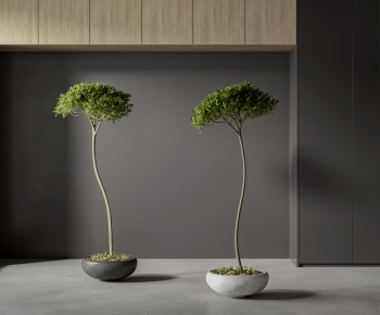 Modern Ground Green Plant Potted Plants-ID:934113035