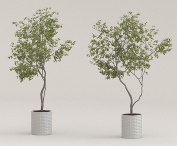 Modern Ground Green Plant Potted Plants-ID:133785018