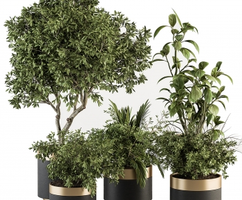 Modern Ground Green Plant Potted Plants-ID:810883052