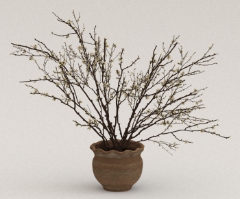 Wabi-sabi Style Potted Green Plant-ID:203936106