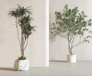 Modern Ground Green Plant Potted Plants-ID:555998097