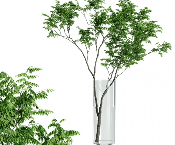 Modern Plant-ID:164389645