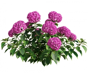 Modern Flowers And Grass-ID:170785907