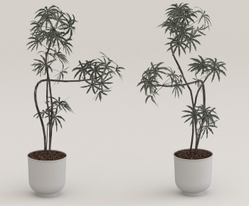 Modern Ground Green Plant Potted Plants-ID:635565043