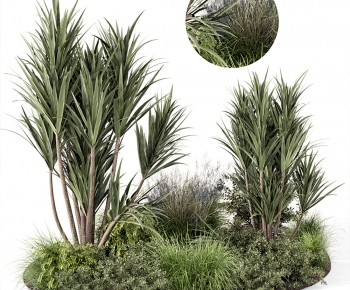 Modern Plant Pile-ID:775332932