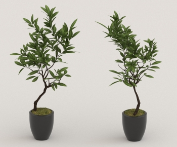 Modern Ground Green Plant Potted Plants-ID:153383028