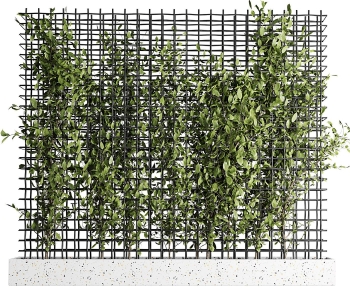 Modern Plant Wall-ID:992182973