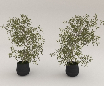 Modern Ground Green Plant Potted Plants-ID:422780998