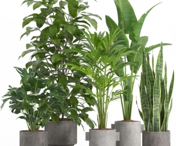 Modern Ground Green Plant Potted Plants-ID:907790751