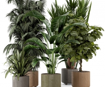 Modern Ground Green Plant Potted Plants-ID:618623977