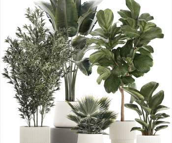 Modern Ground Green Plant Potted Plants-ID:368457083