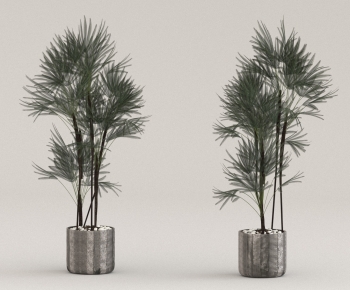 Modern Ground Green Plant Potted Plants-ID:512033942