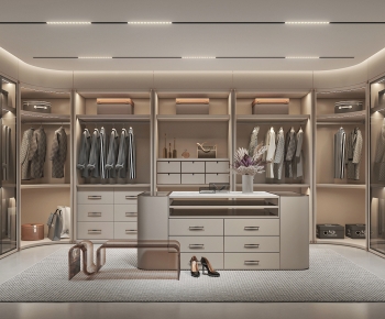 Modern Clothes Storage Area-ID:234430077