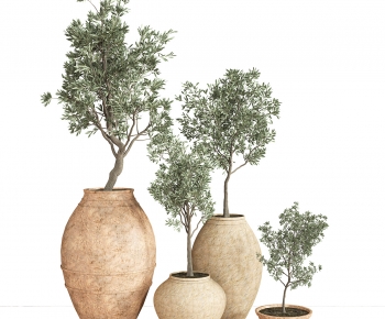 Wabi-sabi Style Ground Green Plant Potted Plants-ID:572776087