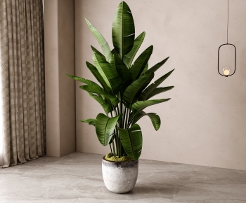 Modern Ground Green Plant Potted Plants-ID:952326065