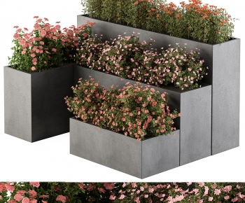 Modern Flower Bed, Flower Bowl, Flower Box-ID:508457904