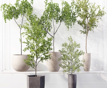 Modern Ground Green Plant Potted Plants-ID:702172997