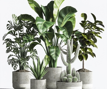 Modern Ground Green Plant Potted Plants-ID:947392949