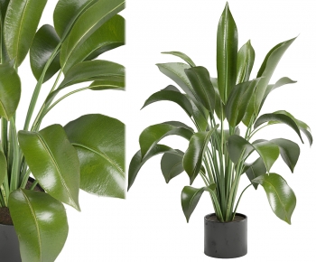 Modern Ground Green Plant Potted Plants-ID:956418999