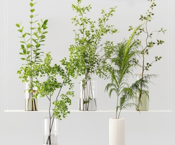 Modern Aquatic Green Plant-ID:617043971