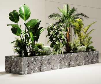 Modern Plant Landscaping-ID:650999072