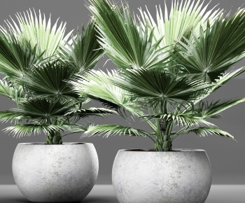 Modern Ground Green Plant Potted Plants-ID:901261097