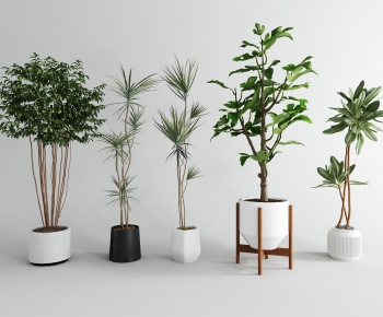 Modern Ground Green Plant Potted Plants-ID:767140412