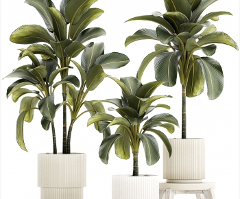 Modern Ground Green Plant Potted Plants-ID:940565113