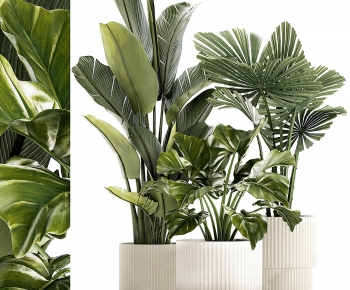 Modern Ground Green Plant Potted Plants-ID:952228076