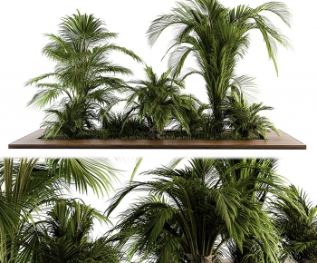 Modern Plant Landscaping-ID:774822009