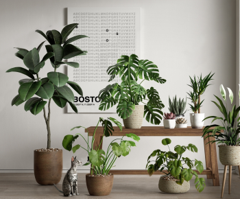 Modern Potted Green Plant-ID:558026082