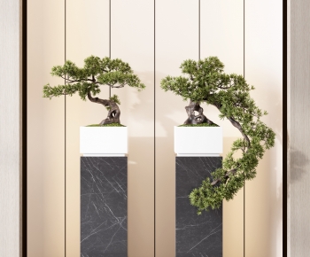 Modern Bonsai-ID:836010939