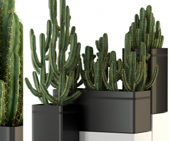 Modern Ground Green Plant Potted Plants-ID:587584023