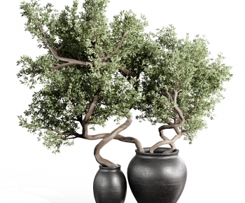 Modern Bonsai-ID:818820054