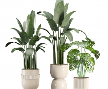 Modern Ground Green Plant Potted Plants-ID:171721049