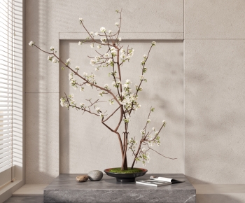 Modern Bonsai-ID:541172038