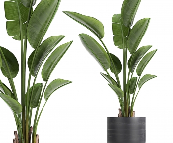 Modern Ground Green Plant Potted Plants-ID:262211081