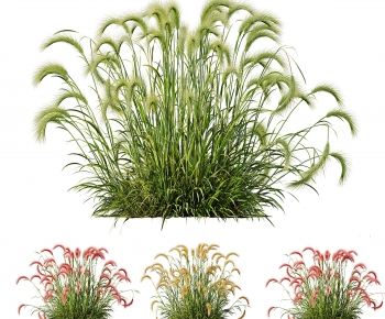 Modern Flowers And Grass-ID:152204043