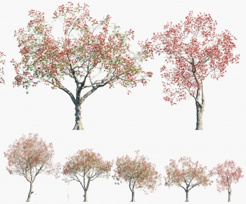 Modern Tree-ID:737386943