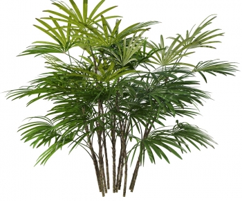 Modern Bamboo-ID:701864004