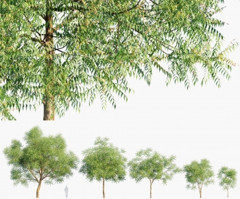 Modern Tree-ID:923880106