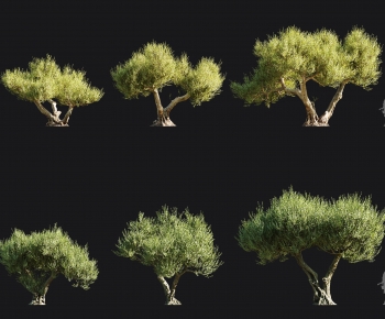 Modern Tree-ID:998209951