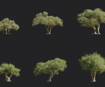 Modern Tree-ID:105640976