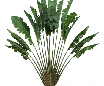 Modern Plant-ID:608340986