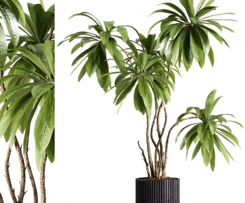 Modern Ground Green Plant Potted Plants-ID:451533088