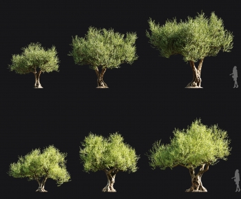 Modern Tree-ID:779506925