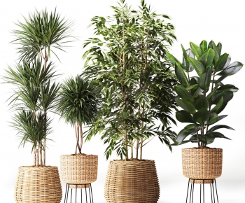 Modern Ground Green Plant Potted Plants-ID:802877909